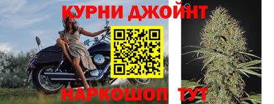 МДПВ Бердск