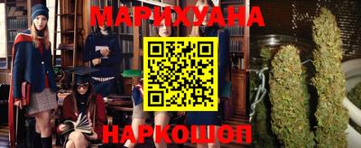 МДПВ Бердск