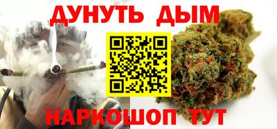 МДПВ Бердск