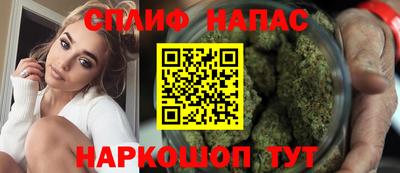 МДПВ Бердск
