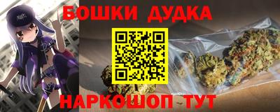 МДПВ Бердск
