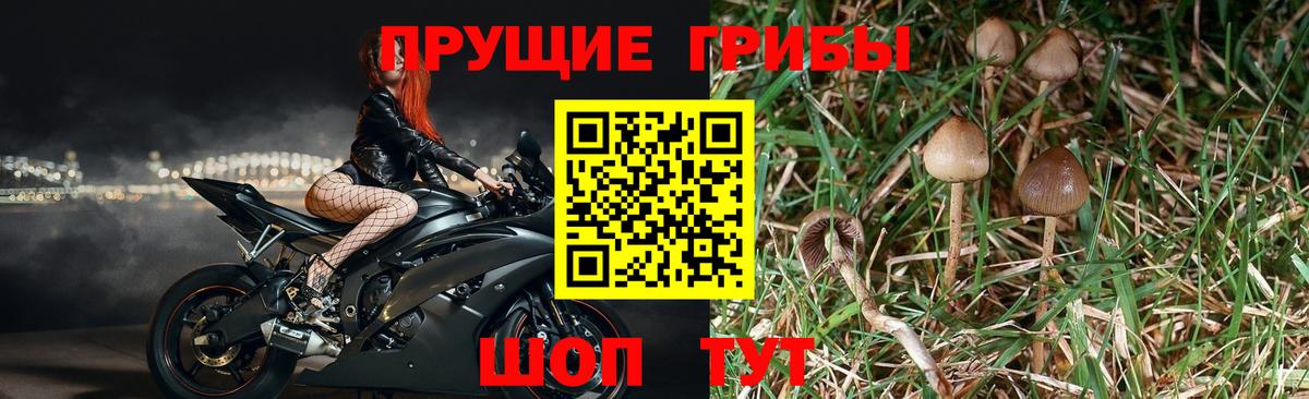 Галлюциногенные грибы мицелий  Псилоцибиновые грибы мухоморы  Ачинск  Вход с VPN 